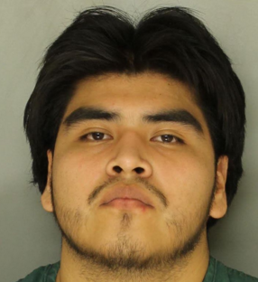 William Flores-Sandoval